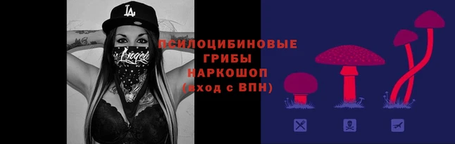 ПСИЛОЦИБИНОВЫЕ ГРИБЫ Аркадак