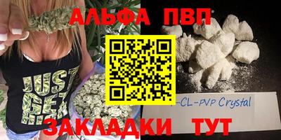 PSILOCYBIN Гатчина
