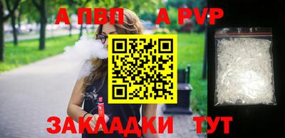 PSILOCYBIN Гатчина