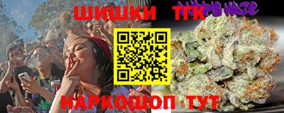 PSILOCYBIN Гатчина