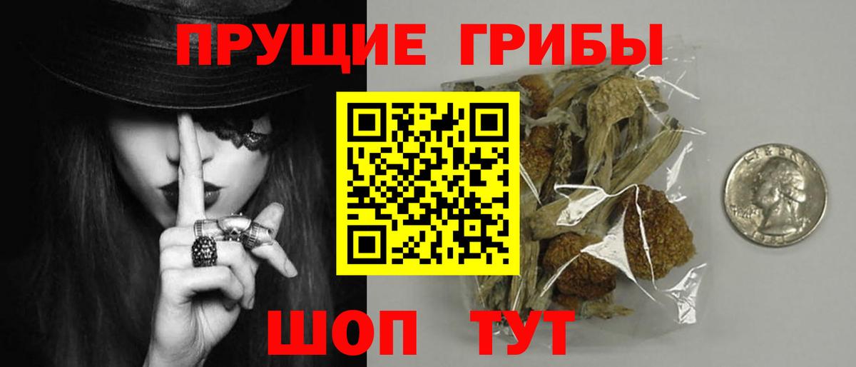 Псилоцибиновые грибы Cubensis Электрогорск